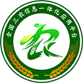 全国政务信息一体化应用平台